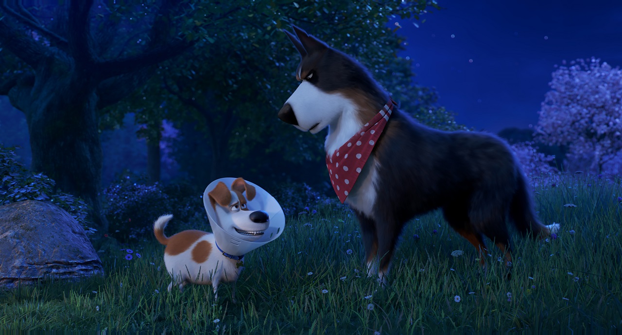secret-life-of-pets-still_1581_107723519