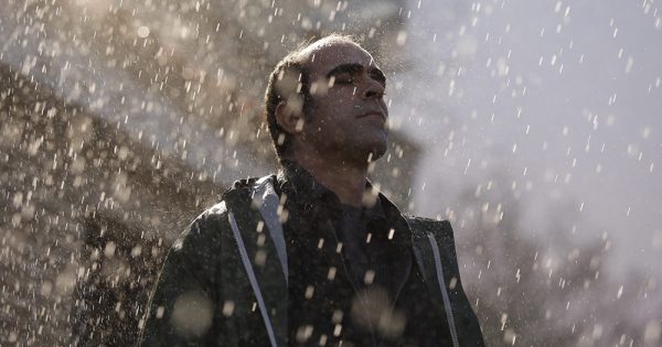 Mαϊσάμπελ