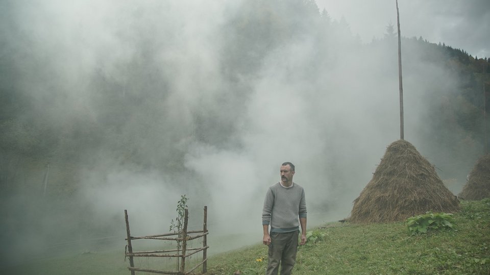 pamfir_1581_107766363