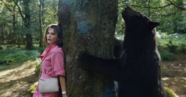 Cocaine Bear