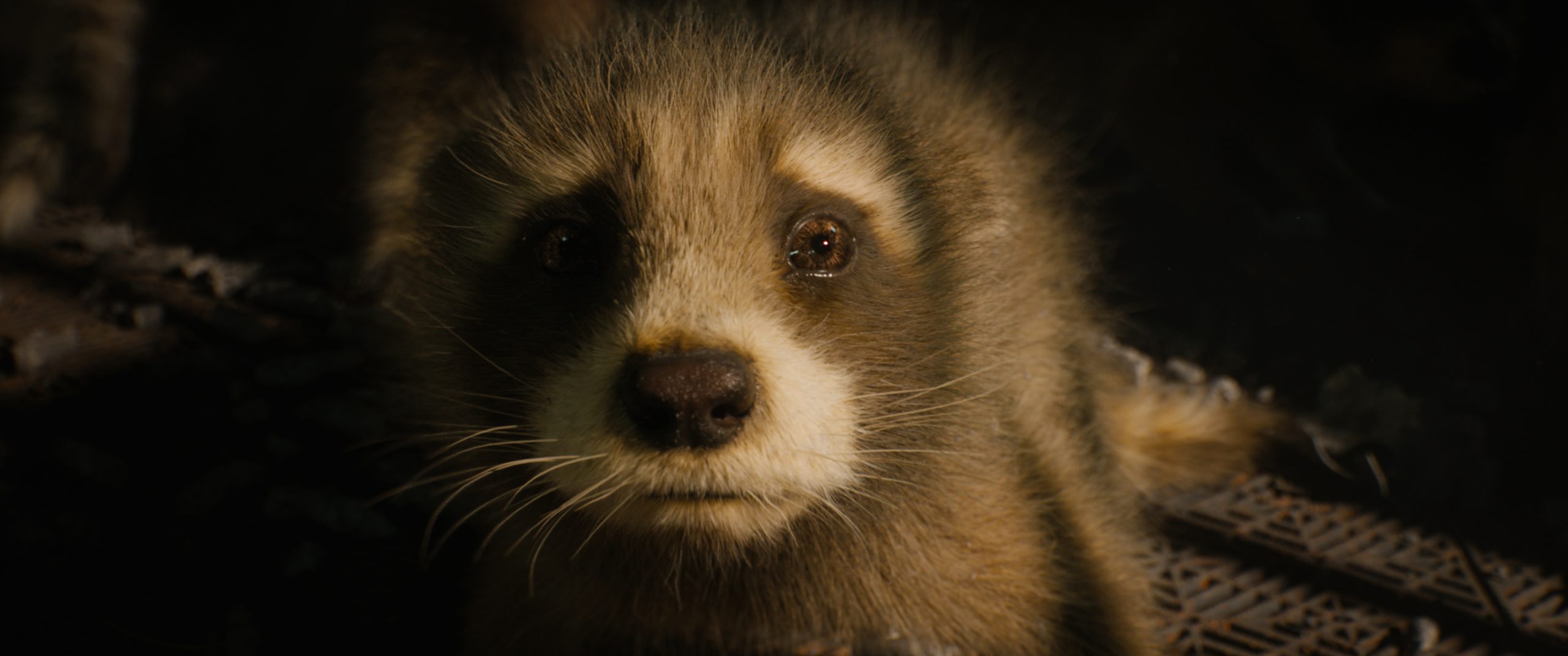 GUARDIANS OF THE GALAXY VOL. 3