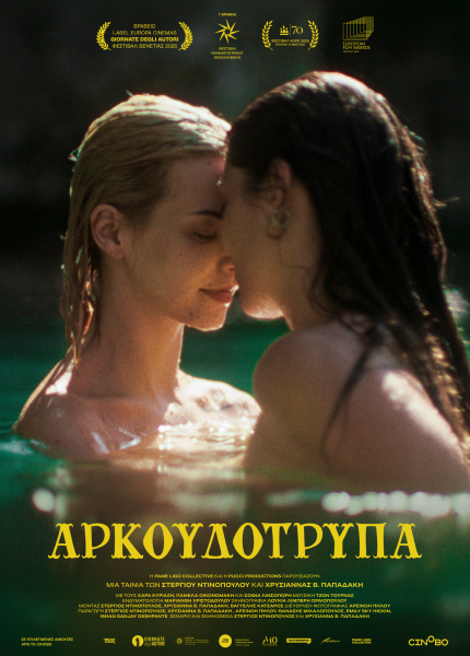 Αρκουδότρυπα