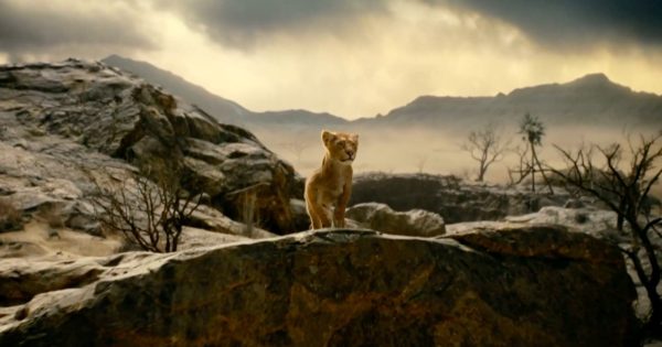 Πρώτες εικόνες από το «Μufasa: The Lion King»