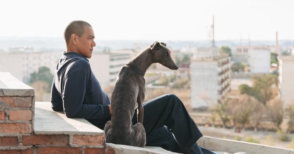 Βlack Dog