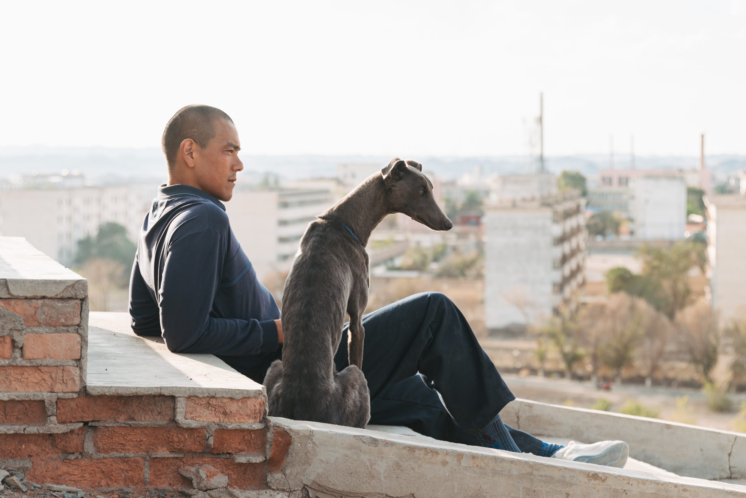 black-dog-still-3_1581_107775309