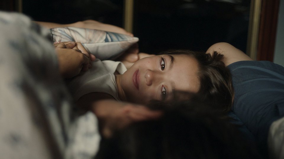 20.000 Είδη Μελισσών