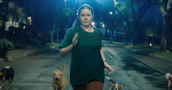 Τρέιλερ «Nightbitch»: Η Έιμι Άνταμς γίνεται μάνα και… σκυλιάζει