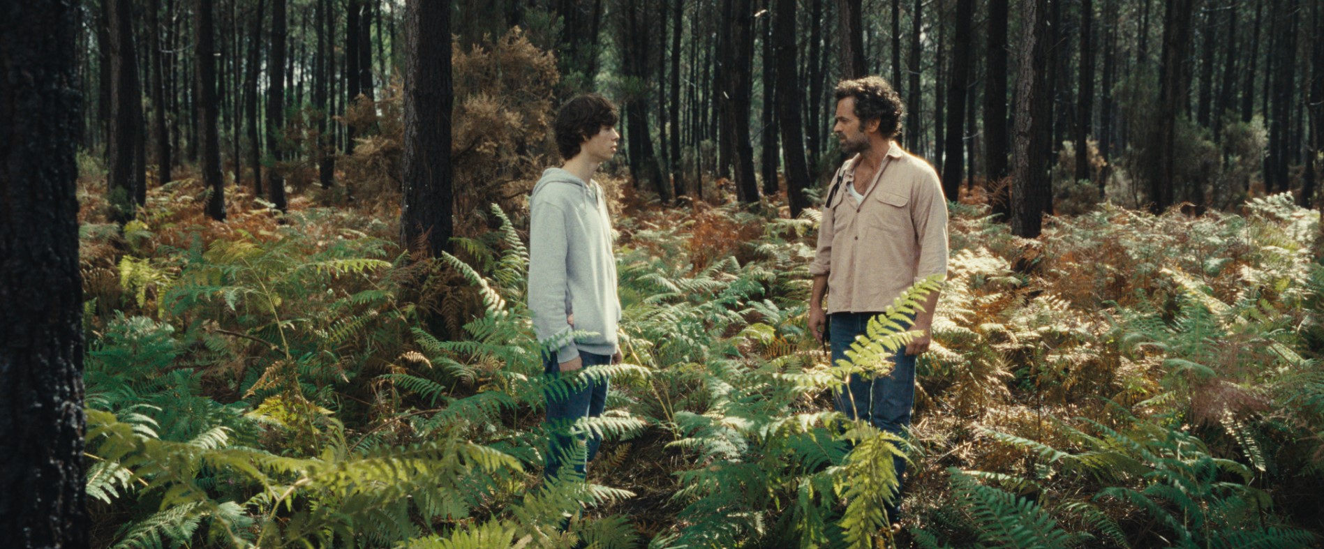 Ζωικό Βασίλειο