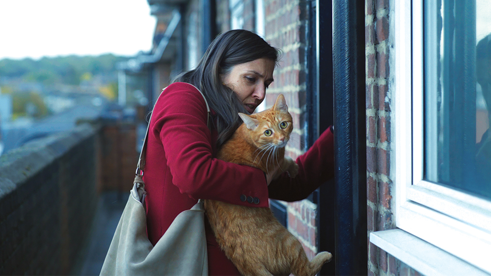 Γάτα στον Τοίχο