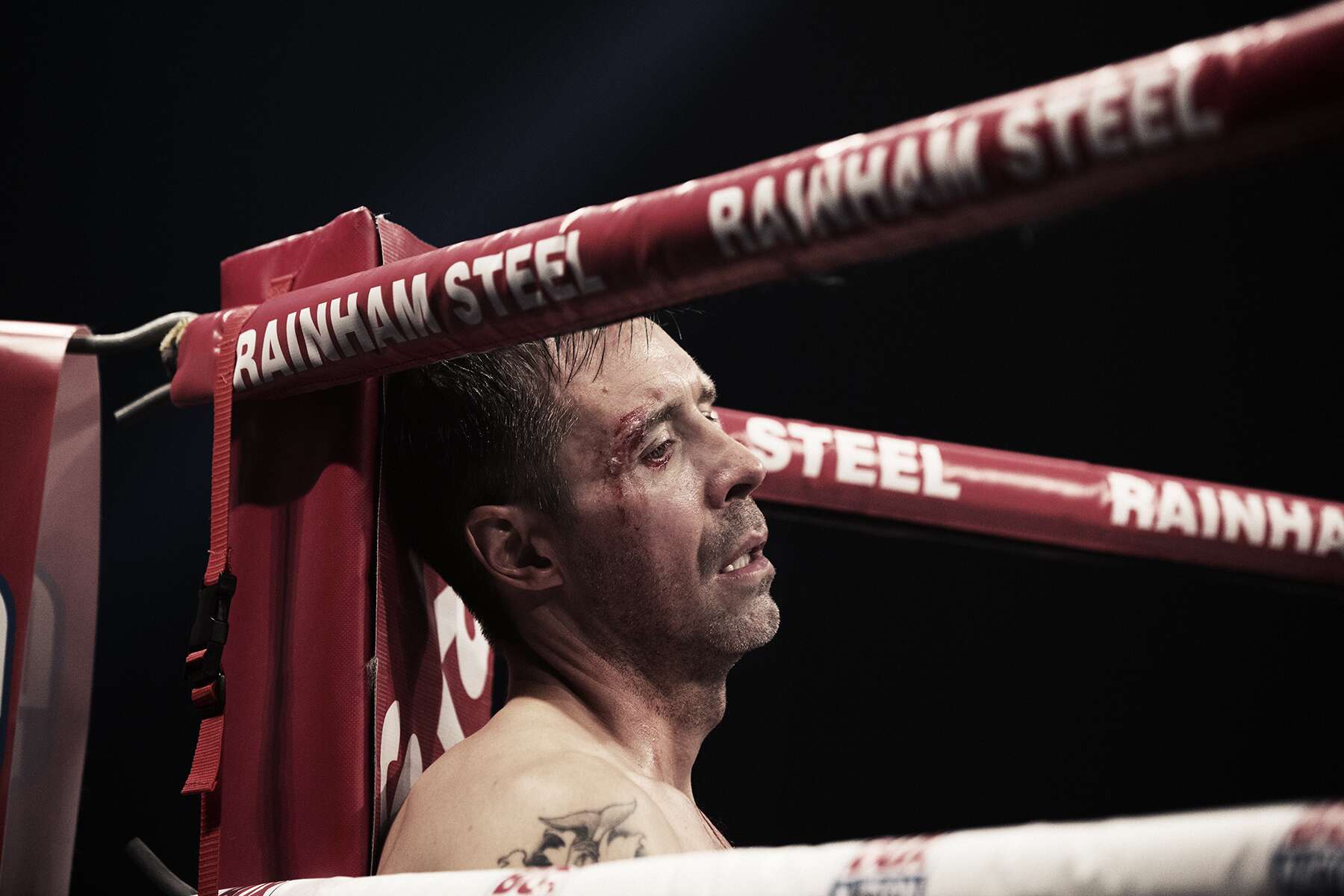 Το Ένστικτο της Επιβίωσης