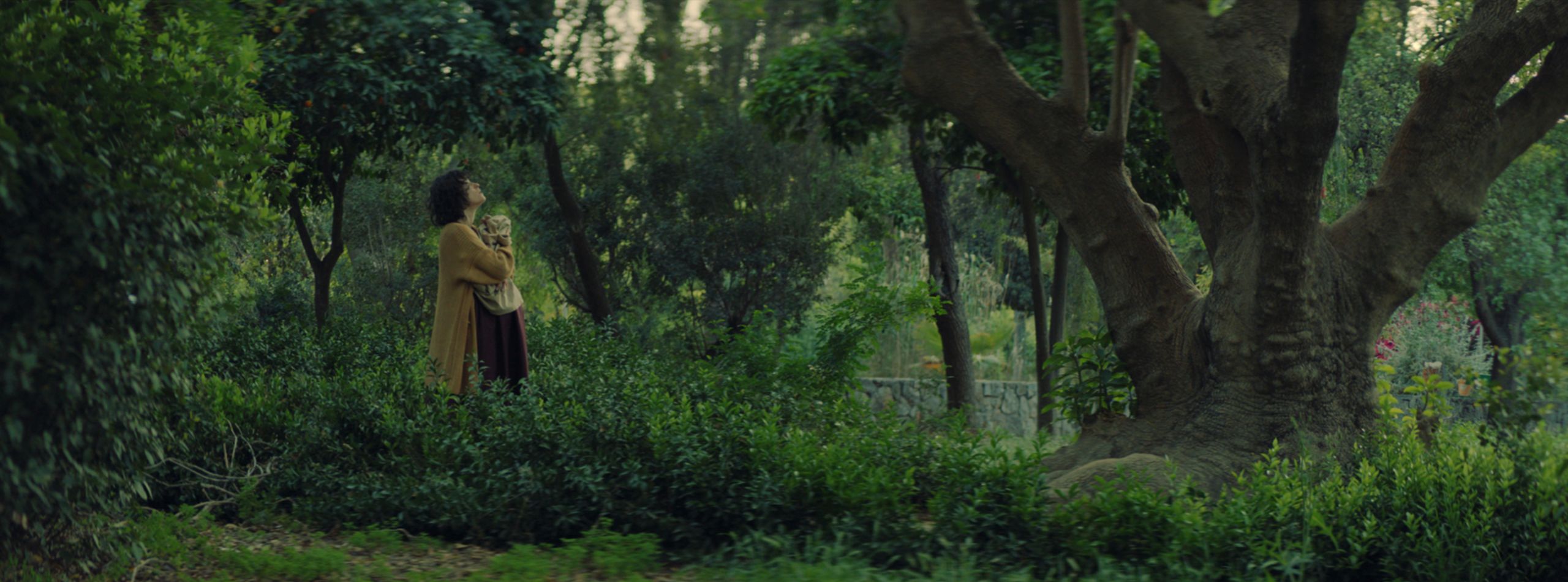 Πρόσκληση της Ένωσης Ελλήνων Κινηματογραφιστών για υποβολή συμμετοχών για το βραβείο GSC 2025