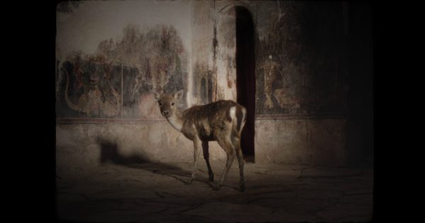 Greek Short Docs: Το Cinedoc κάνει ποδαρικό με βραβευμένα ελληνικά ντοκιμαντέρ μικρού μήκους