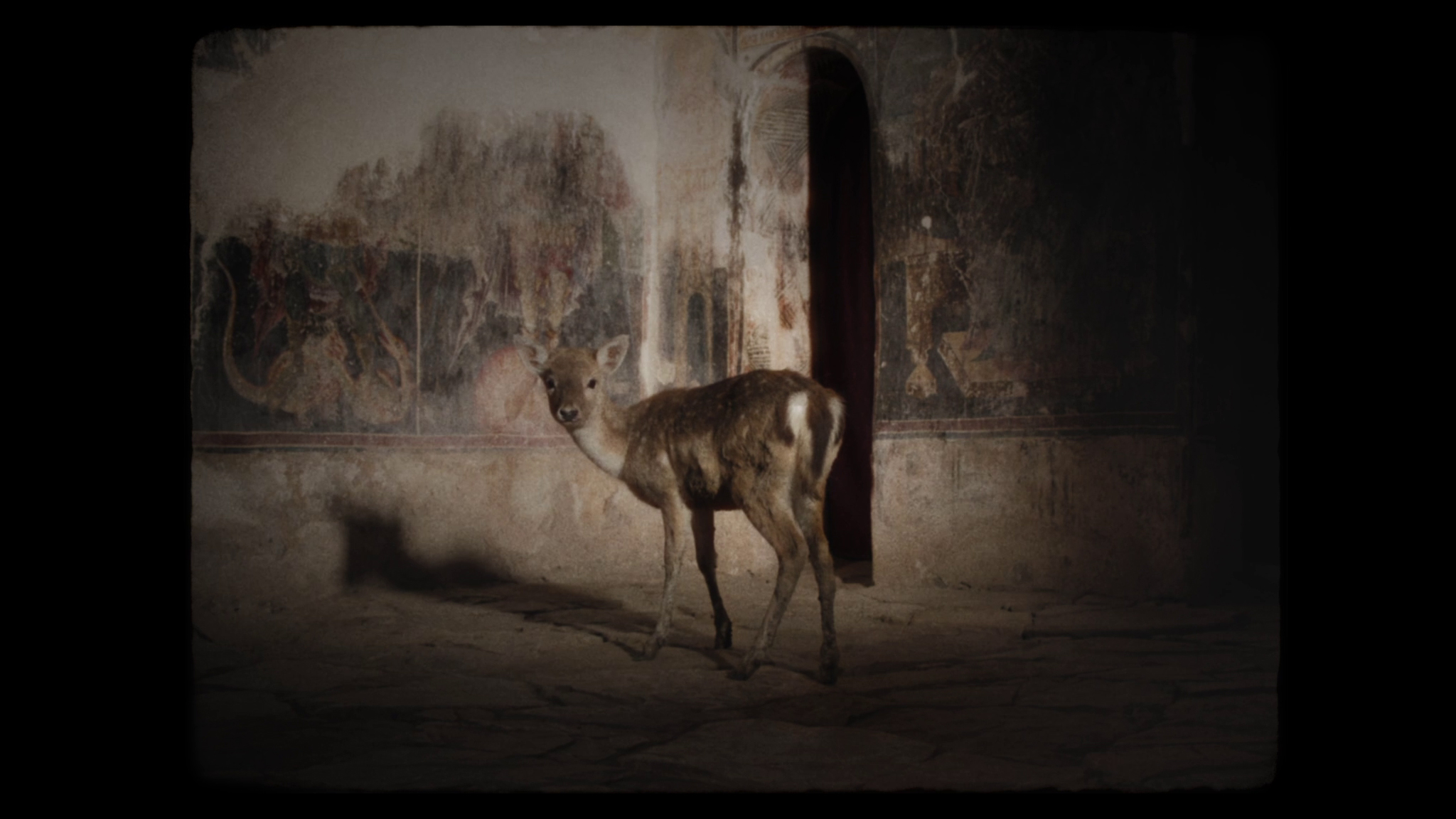 Greek Short Docs: Το Cinedoc κάνει ποδαρικό με βραβευμένα ελληνικά ντοκιμαντέρ μικρού μήκους