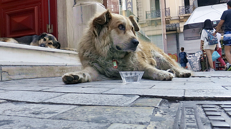 Οι Άγνωστοι Αθηναίοι