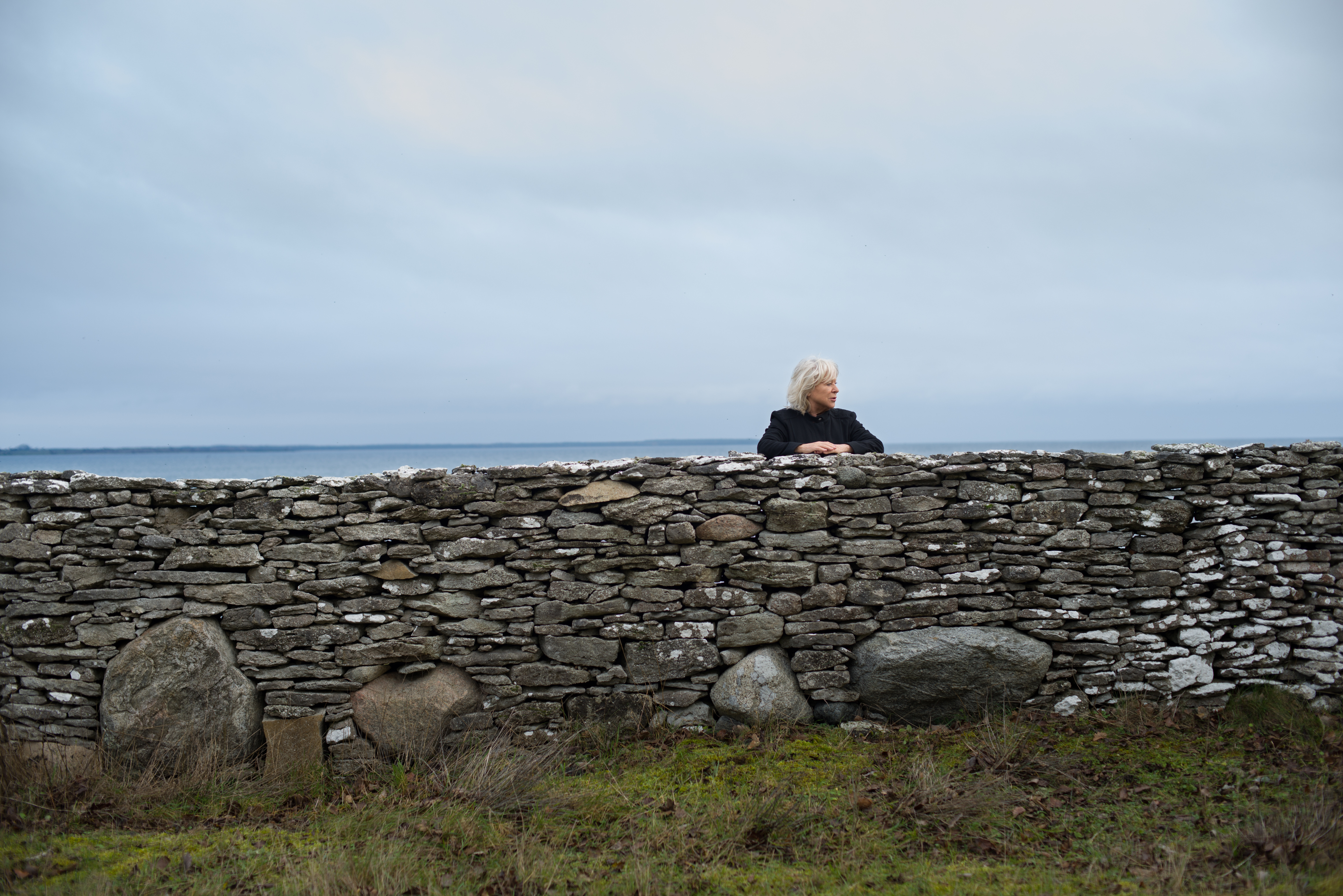 Μπέργκμαν: Ένας Αιώνας