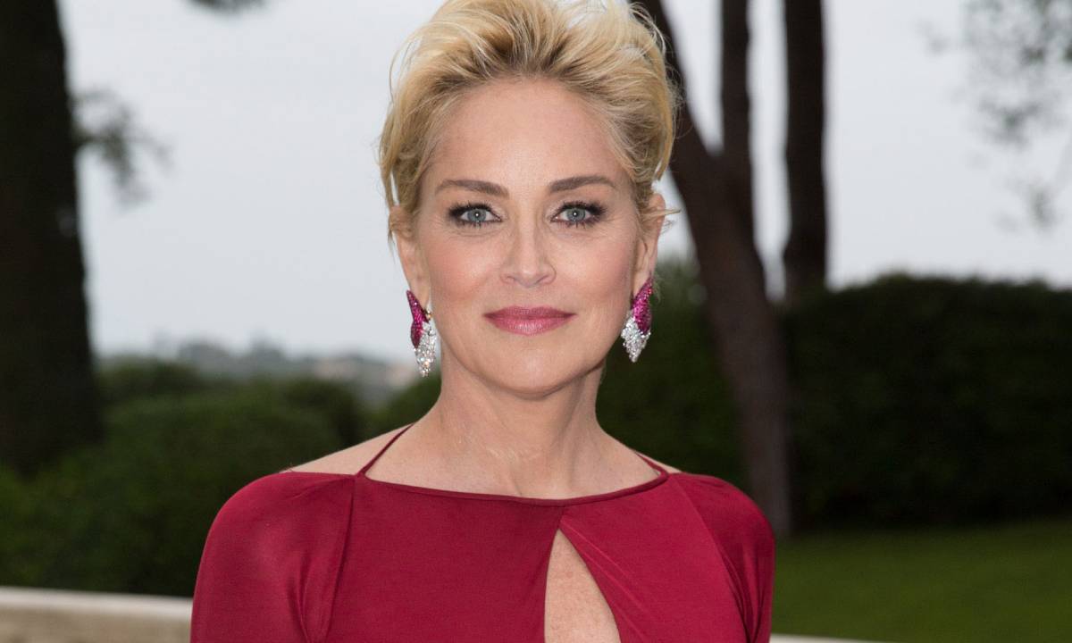 sharon-stone-sparks-reaction-beach-photo-t_1581_107746263