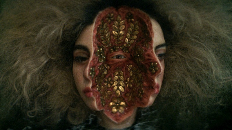 she-loved-blossoms-more_1581_107775381