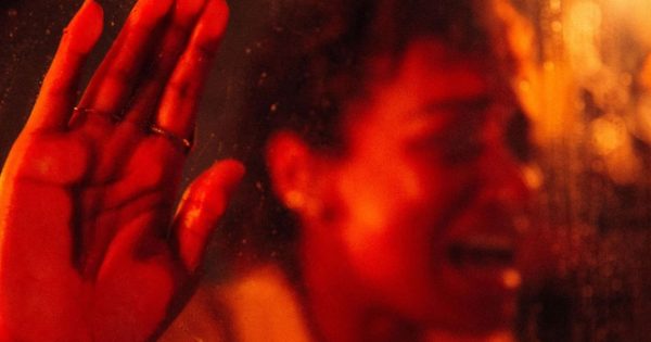Mίλα μου για Ευχούληδες (Ελληνικό box-office, Tετραήμερο 02/11/23 – 05/11/23)