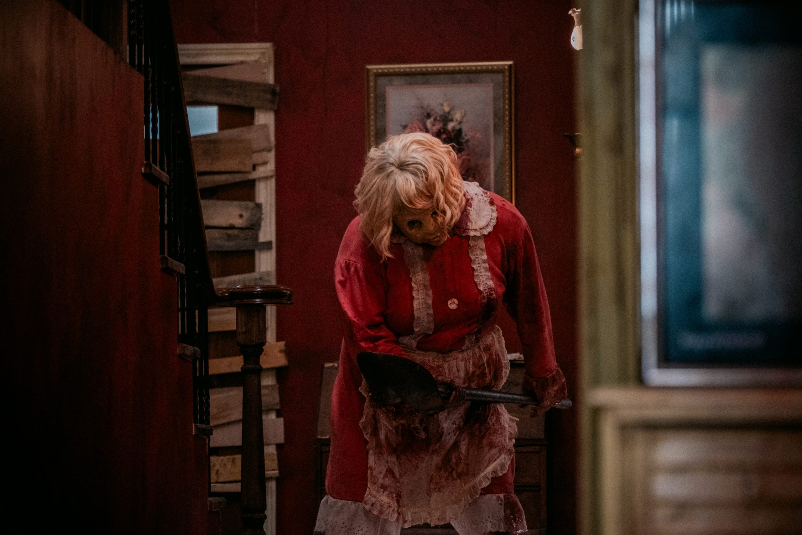 dolly-still-9_1581_107781104