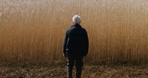 Ανάμεσα στις Καλαμιές