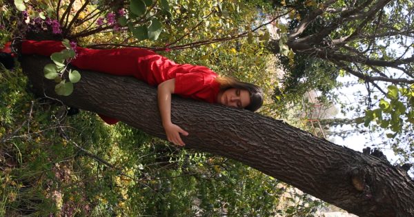 4 γυναίκες* συνομιλούν με την ταινία «Αμυγδαλιά»