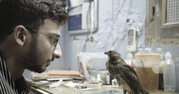 Το βραβευμένο ντοκιμαντέρ «All that Breathes» έρχεται τον Οκτώβριο στο CINEDOC
