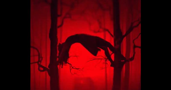 Το «American Horror Story» επιστρέφει με πιο πολλές ιστορίες απ’ όσες φανταζόσταν