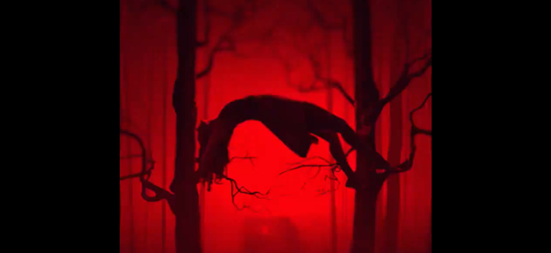 american-horror-stories-_1581_107749179