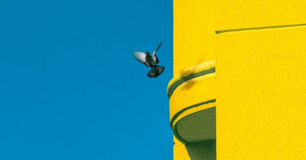 Filmmakers-for-Ukraine: Η ομάδα του κινηματογραφικού δικτύου Crew-United ενώνει ανθρώπους για να βοηθήσει τους ανθρώπους στην Ουκρανία