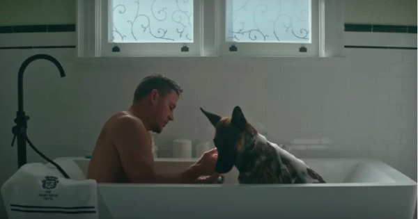 Τρέιλερ «Dog»: Ο σκύλος είναι ο καλύτερος φίλος του Τσάνινγκ Τέιτουμ