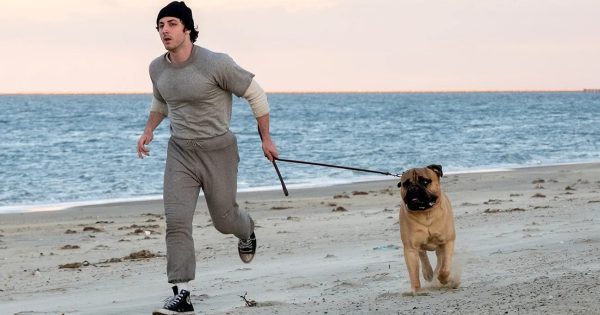 «I Play Rocky»: Ο Πίτερ Φαρέλι σκηνοθετεί την ιστορία που έκανε σταρ τον Σιλβέστερ Σταλόνε