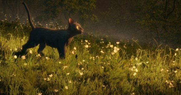 Ευτυχώς που «υπάρχουν» οι γάτες (Ελληνικο box-office, Τετραήμερο 30/01/25 – 02/02/25)