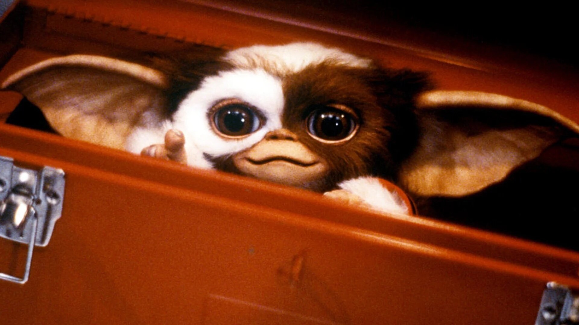 gizmo_1581_107779496