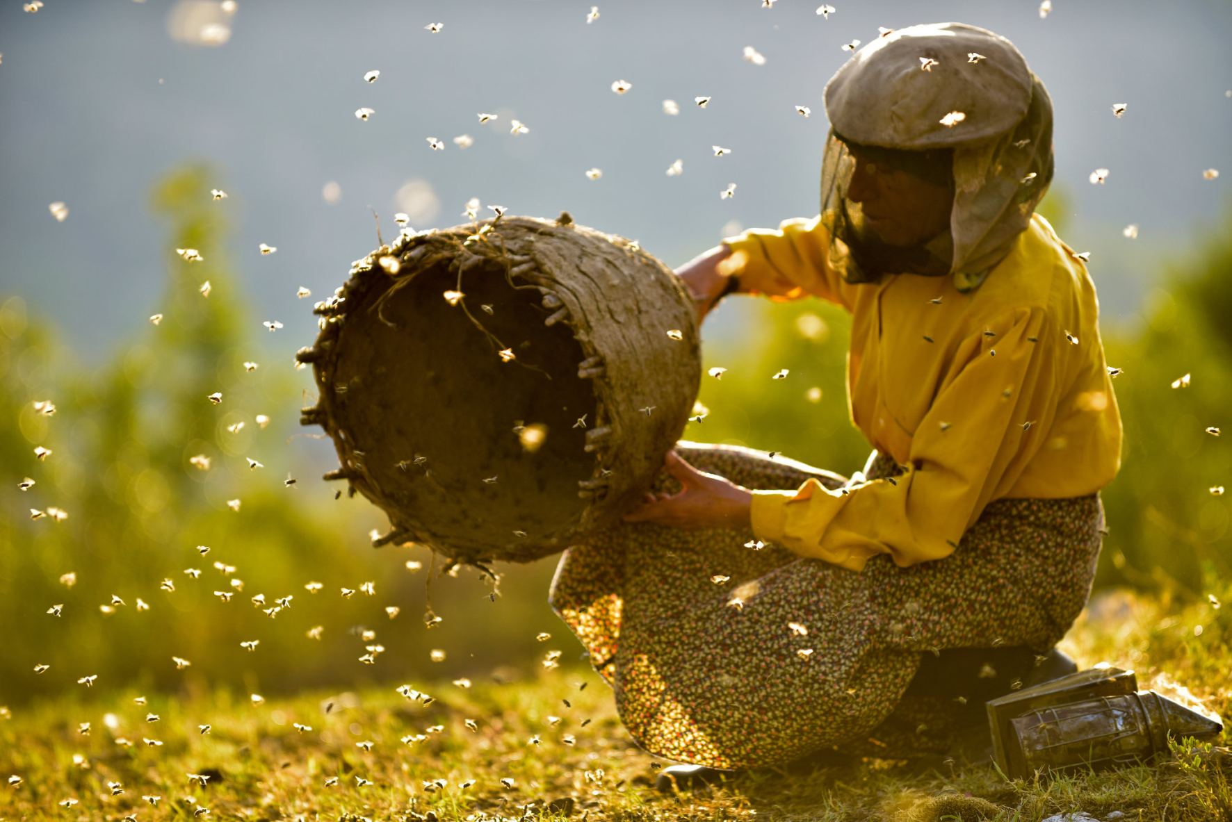 honeyland_1581_107766504