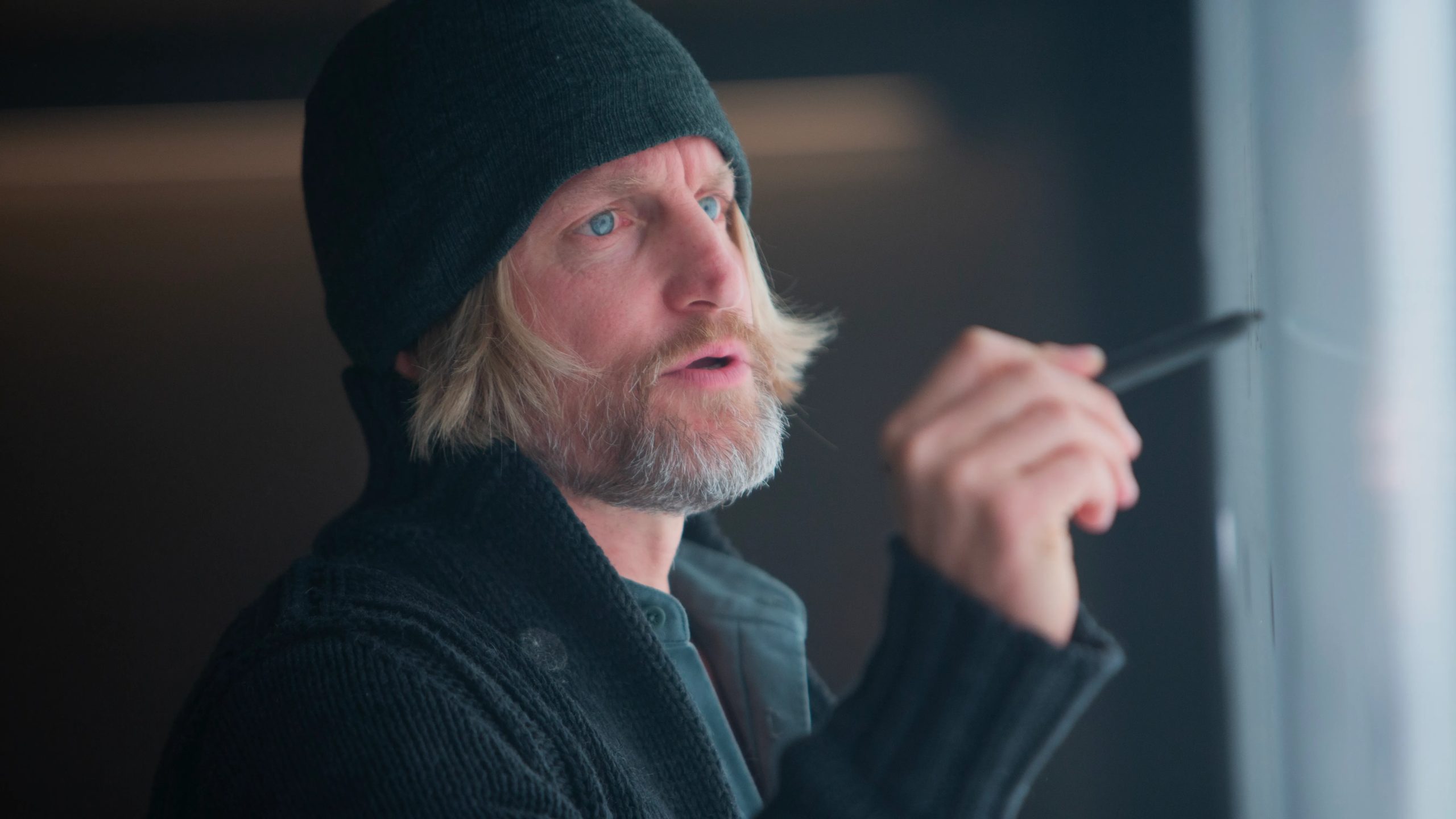 hunger-games-haymitch_1581_107776886