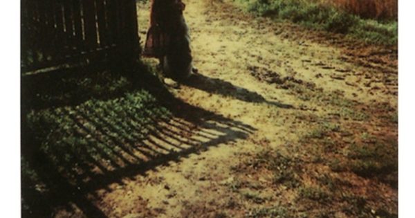 Ο ονειρικός κόσμος του Αντρέι Ταρκόφσκι μέσα από φωτογραφίες του