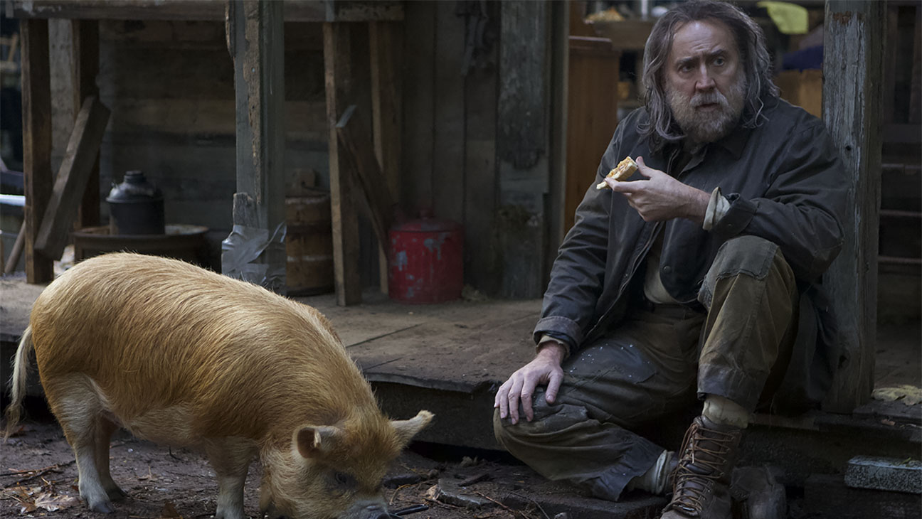 PIG_00303.CR2