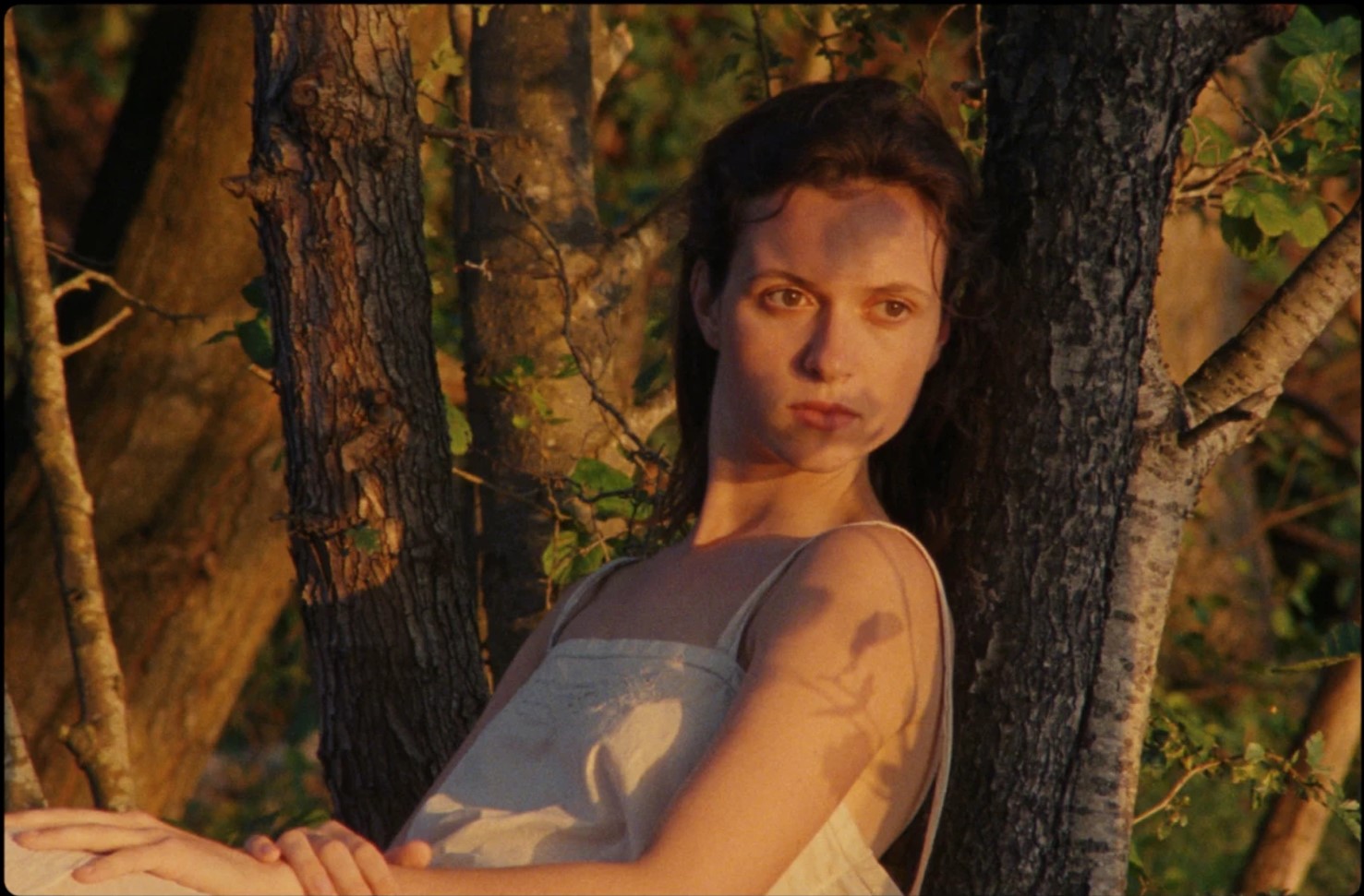 scarlet-00_1581_107760163