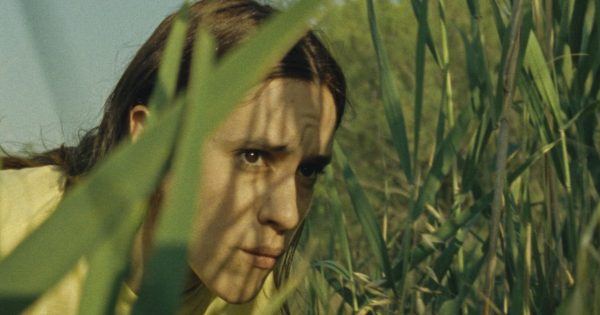 Δείτε online τη μικρού μήκους «Scorched Earth» της Μαρκέλας Κονταράτου στο Short of the Week!