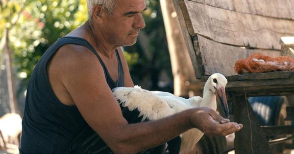Μετά το οσκαρικό «Honeyland», η Ταμάρα Κοτέφσκα φέρνει τον υπέροχο «Μύθο του Σίλιαν» στις Νύχτες Πρεμιέρας