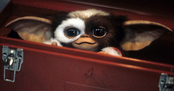 Τρίωρα «Gremlins»! Βρέθηκε cut της ταινίας που ο Τζο Ντάντε είχε συναρμολογήσει το 1983