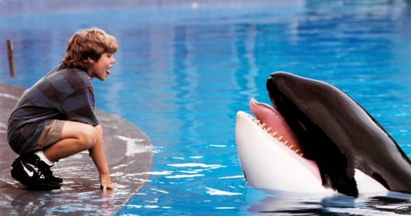 Η Warner ετοιμάζει reboot του «Free Willy»!