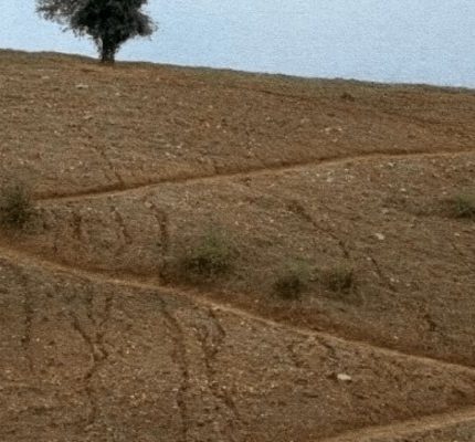 Πού Είναι το Σπίτι του Φίλου Μου;